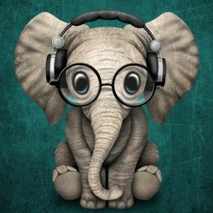 Meet your Posher, Elizabeth